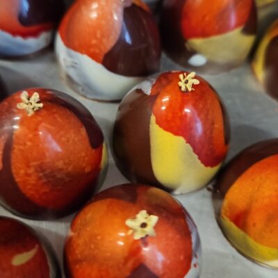 le maude chocolat gagnant chocolaterie merigonde geneve